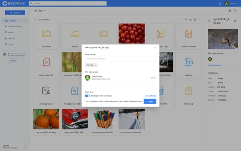 BeDrive - File Sharing and Cloud Storage v3.1.2
