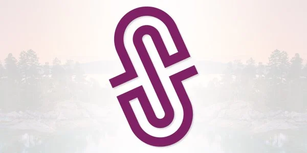 Modern Minimalist S Letter Logo Design