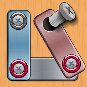 Screw Puzzle: Nuts And Bolts