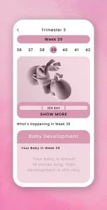 Pregnancy Due Date Calculator - Android App Source