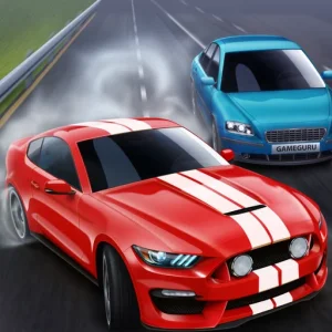 Racing Frenzy