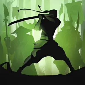 Shadow War Combat Fighting