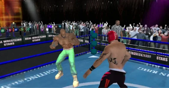 Groovy Real Wrestling Fight
