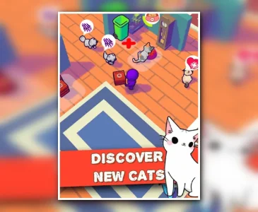 Animal Shelter - Cat Rescue