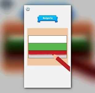 Flag Painting Puzzle