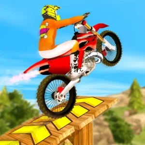 Bike Stunts