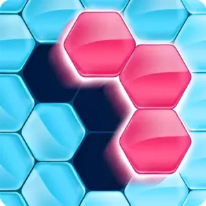 Hexa Puzzle Blocks