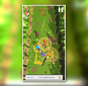 Forest Ninja – Sword Fighter