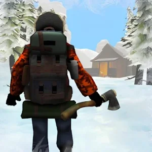 Winter Survival Simulator