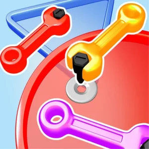 Screw Wrench Jam – Puzzle game