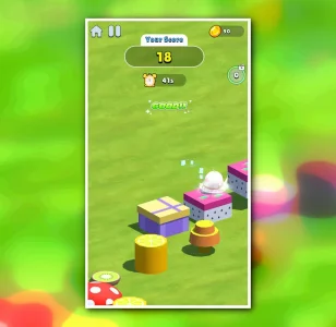 Crazy Bird Jump