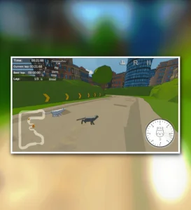 Zoomies! Cat Racing