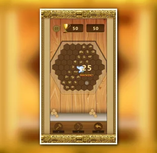 Woody – Wood Block Puzzle