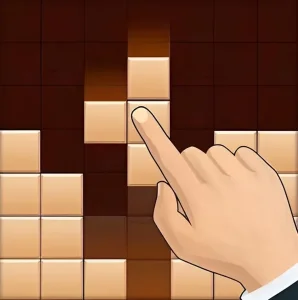 Wood Block Puzzle: Classic