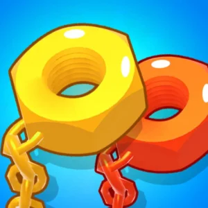 Chain Knots 3D