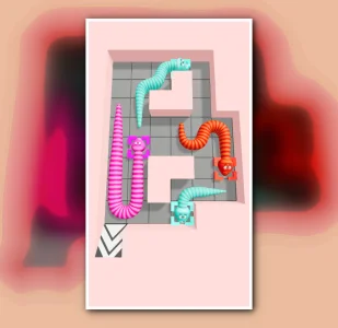 Snake Puzzle