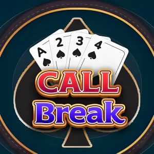 CallBreak - Offline Card Games