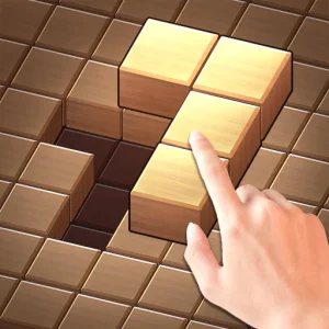 Fill Wooden Block - 1010 Woody Puzzle