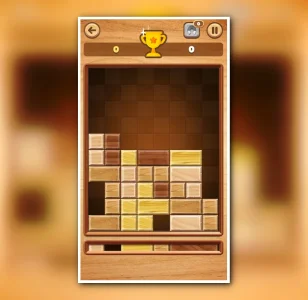 Slide Block Move - Fall Down