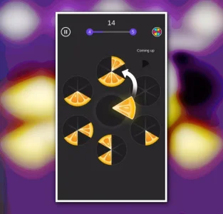 Slice Puzzle