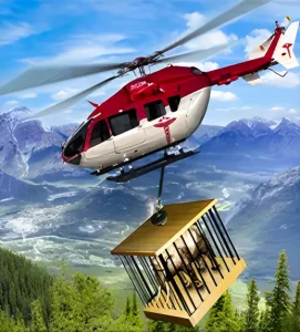 Animal Helicopter Sea Transport