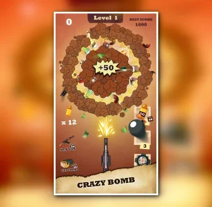 Crazy Gun – Western Shooting Game