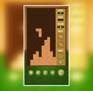 Tetris Puzzle