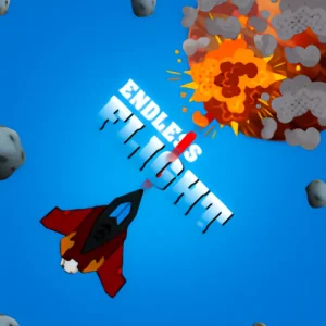 Endless Flight Unity 2D Arcade Game