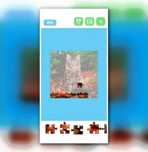 Jigsaw Puzzle - Customize and Create