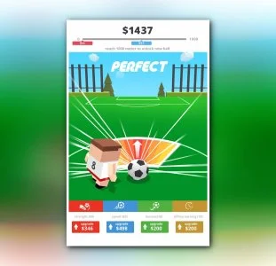 Mr. Kicker: Perfect Kick Football Game