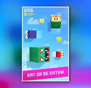 Mr.io