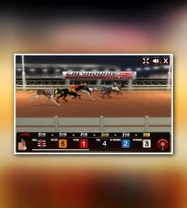 Greyhound Racing