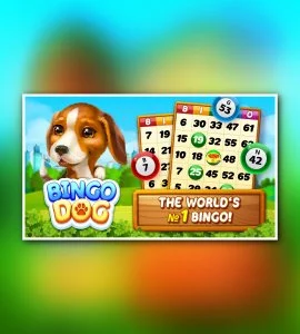 Bingo Dog