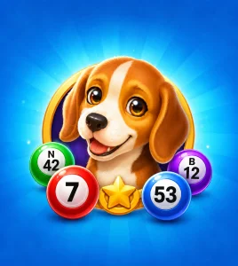 Bingo Dog