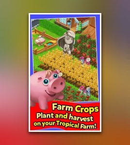 Farm All Day